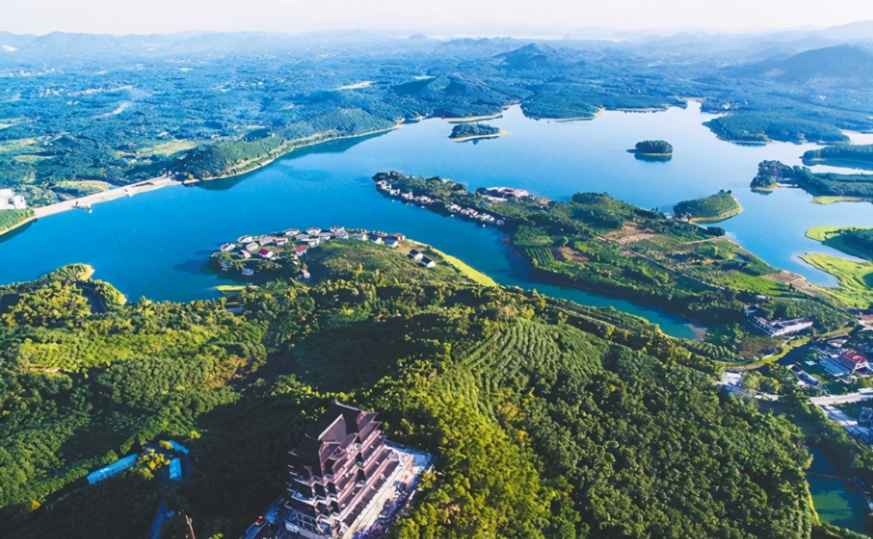 海南再生人陈明道骗局揭晓，唐江山3岁想起前世，6岁凭记忆找到前世父母图片