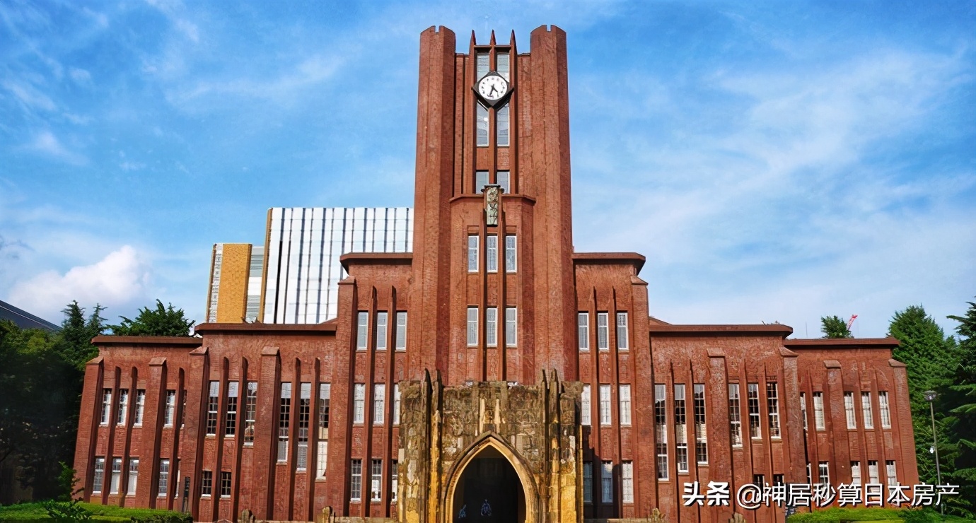 越是没营养的教育越能培养出人才？东京大学这样说…