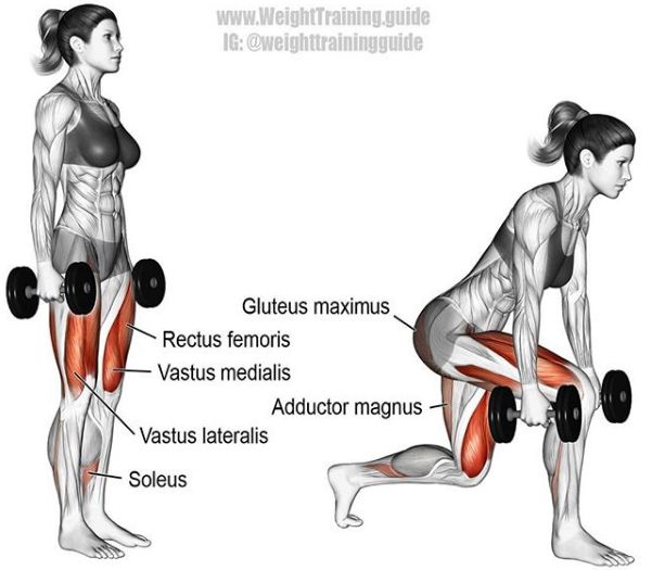 超干貨！胸、腰、臀腿、肩背肌肉訓練圖解，男女通用