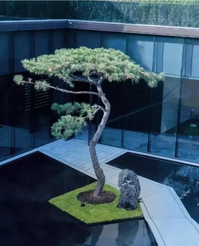 園林植物種植的五種類型