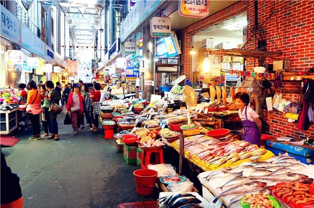 韓國的鑽石白菜價令人望而卻步，多重因素下的農業危機