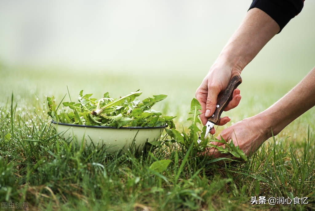 3月记得吃“开春6鲜”，春天才有的美味，应季而食，别亏待味蕾