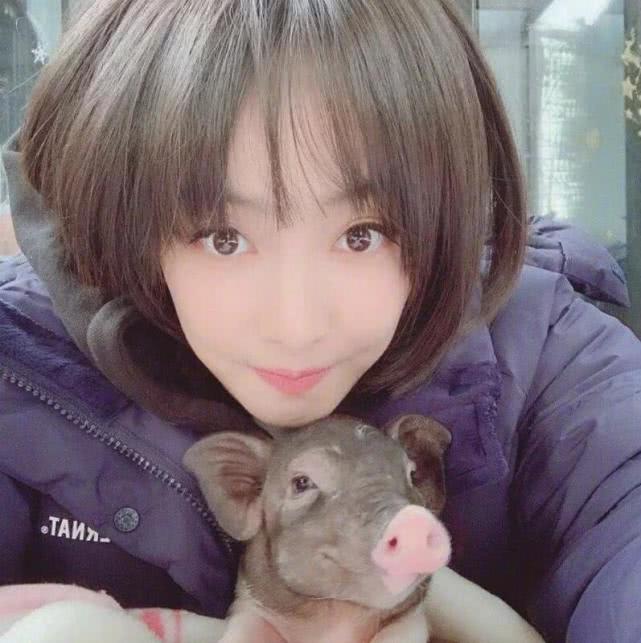 脑洞大开！芒果《一起养猪吧》来袭，王一博张云龙榜上有名