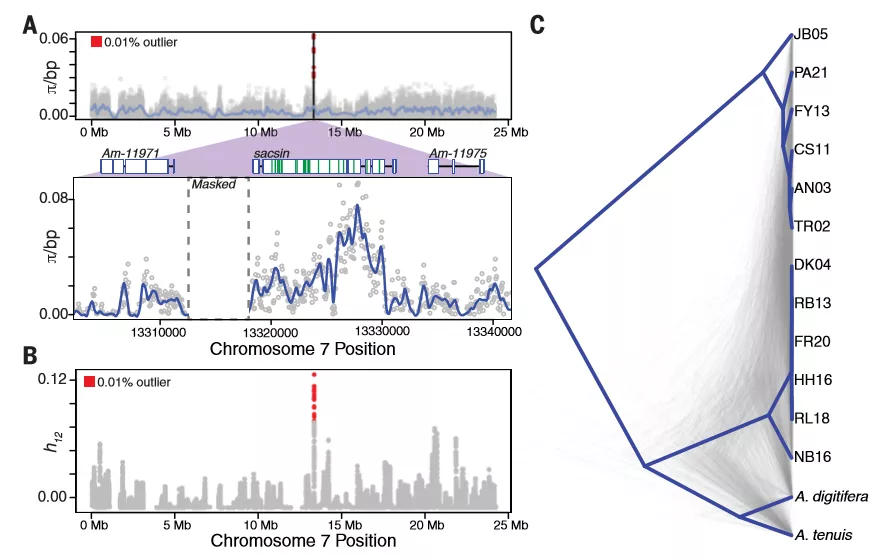 Science | 群体研究新思路：De novo + GWAS