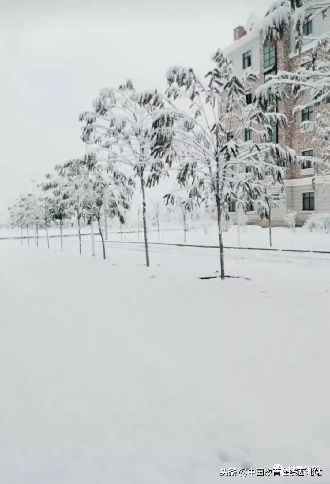 甘肃初雪|甘肃18所高校初学雪景大PK,快来看看有你的母校没?