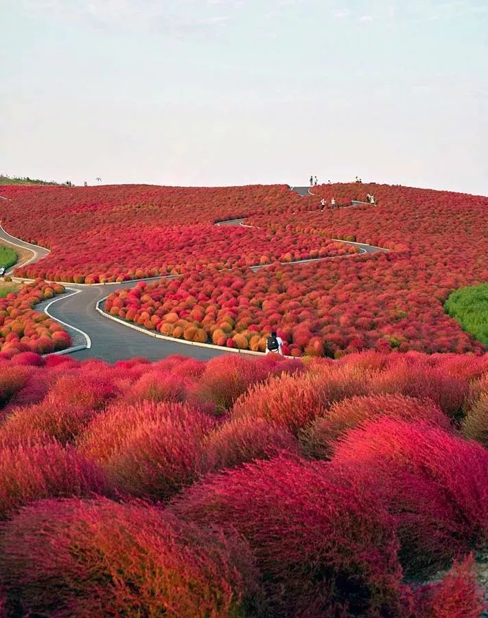 心有光芒，必有远方