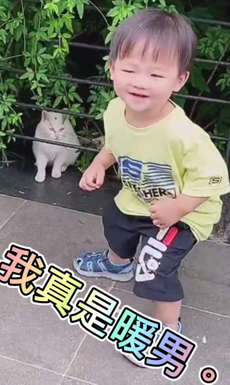 蔡少芬张晋带三子女喂流浪猫，鱼蛋投喂成功后开心不已，模样超萌