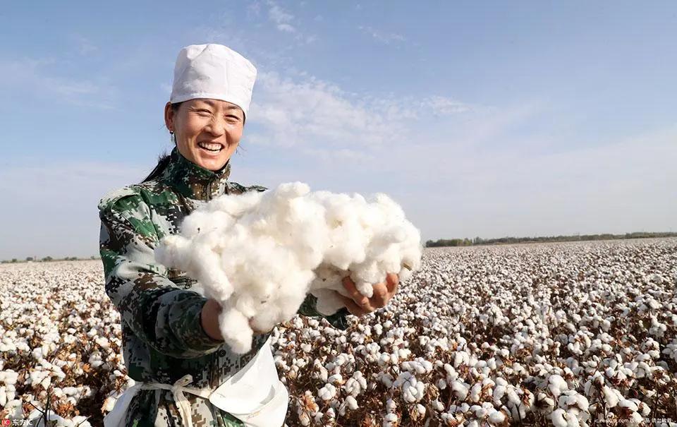 大反转！新疆棉一炮打响，中国纺织民族产业大爆发！