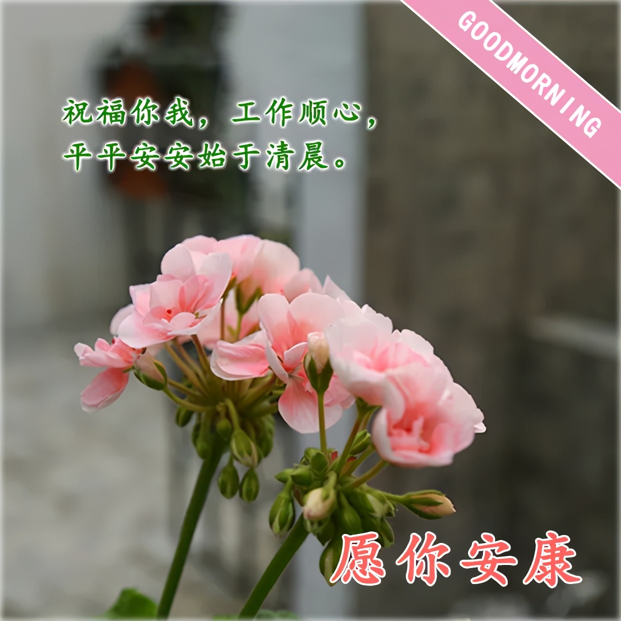 早上好漂亮表情问候祝福文案图片 早上好朋友圈表情图片精华图片
