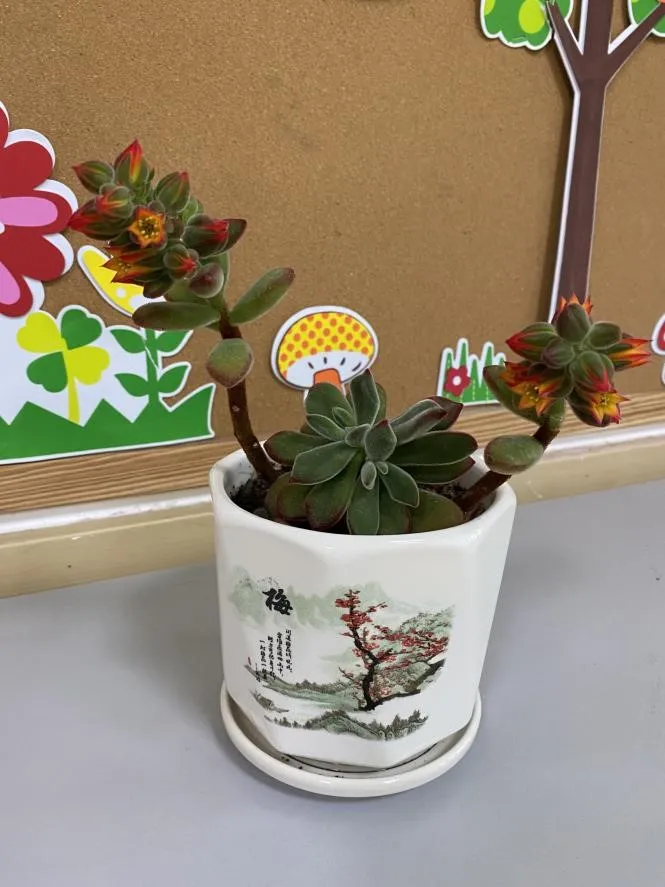 绿色的希望在校园萌芽——四川天府特校开展爱绿护绿行动