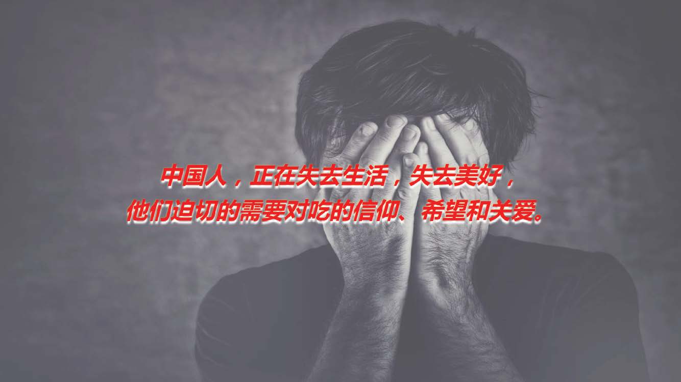 “洽洽”每日坚果整合营销方案-第四餐让生活还原 让吃变得更精致