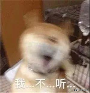 霸道总裁愣是被演成东北大哥，黄景瑜的台词功