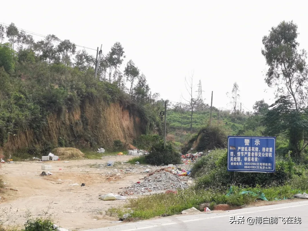 触目惊心！博白文地这里垃圾成“灾”，附近居民苦不堪言