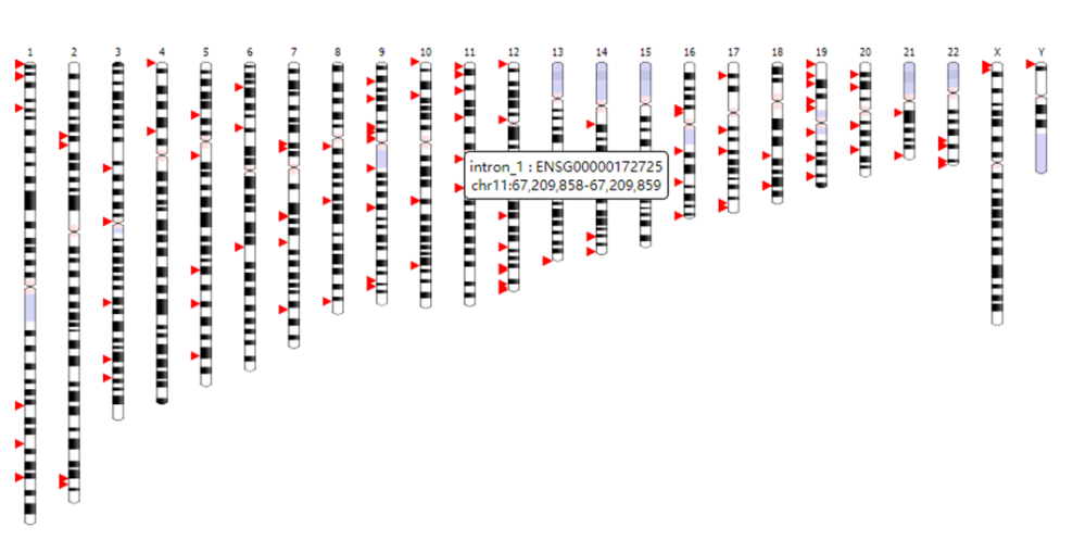 细胞免疫治疗Biomarker检测的整体解决方案