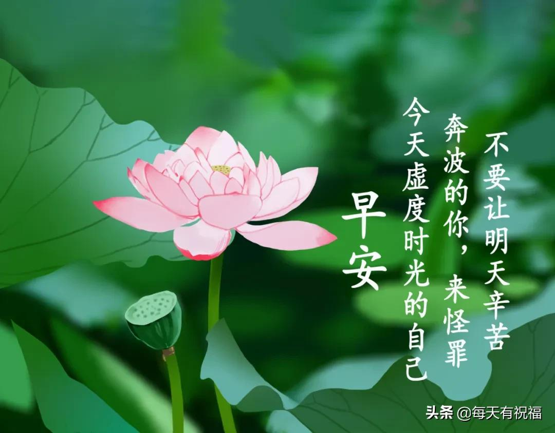 新的一周早晨正能量问候祝福语句,周一最美的早安祝福表情图片图片