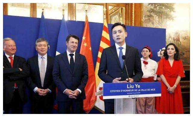 刘烨妻子带俩孩子回国，检疫时被称外国人，诺一大喊：我是中国人