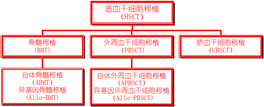 淋巴瘤患者自體造血干細胞移植，你了解嗎？
