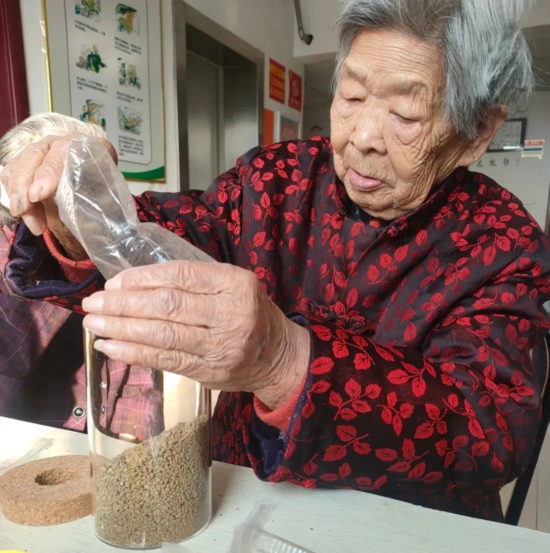 「多彩活动」用心种植，灌溉美好——长者园艺疗法小组