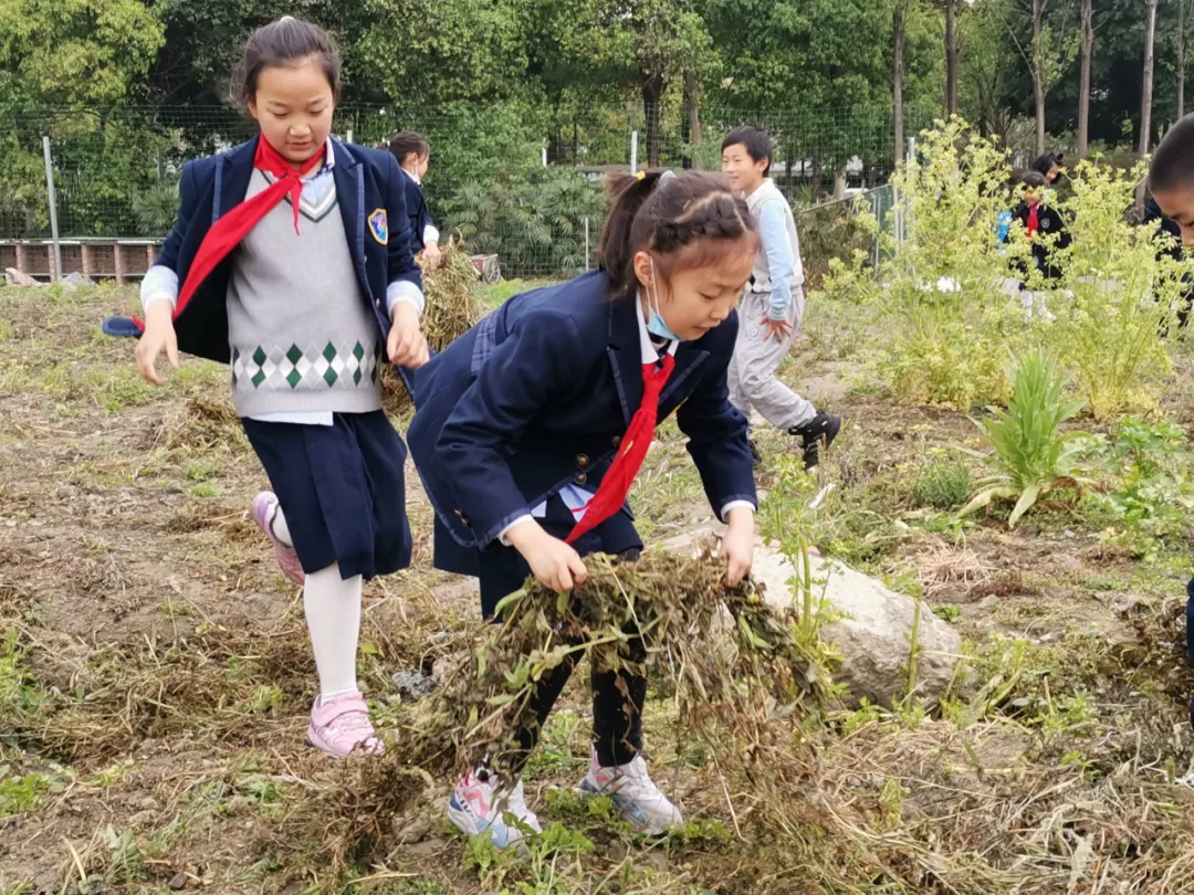 双流区实验小学外国语学校丨最美人间四月天 幸福农场齐生长