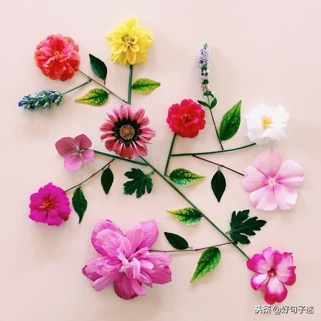 文艺而有韵味的句子 简短有格调的句子图片