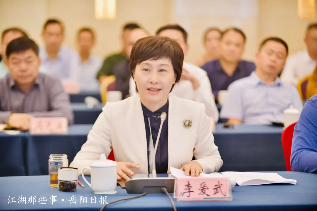 张宏森来岳调研，强调了这些工作