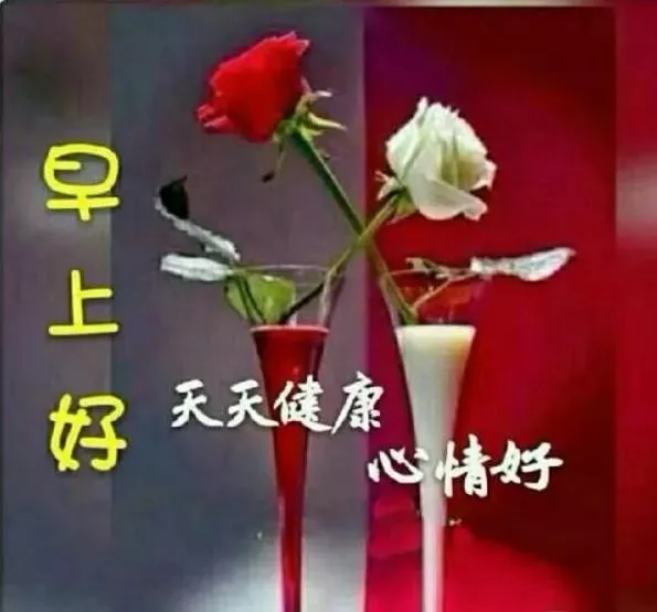 早上好问候祝福语漂亮图片表情  问候一句早安图片