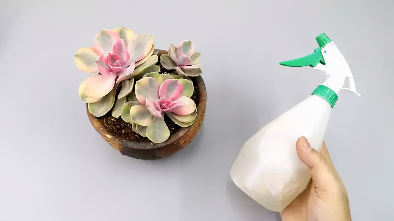 有钱也不要丢大蒜皮，存起来能解决家里的小烦恼