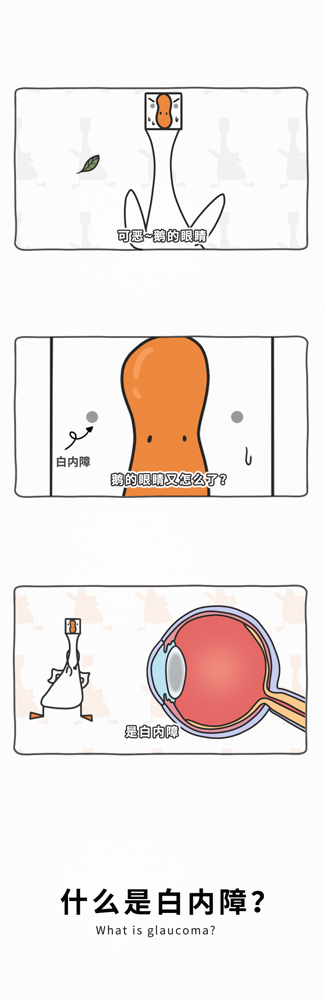 如果你的視野裏有異樣，可能是得了這些眼疾