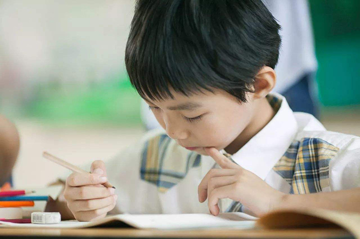 《亲爱的小课桌》：为什么孩子做作业成大难题？一名老师道出原因