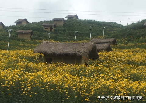 中医药康养，或成乡村旅游一剂良方