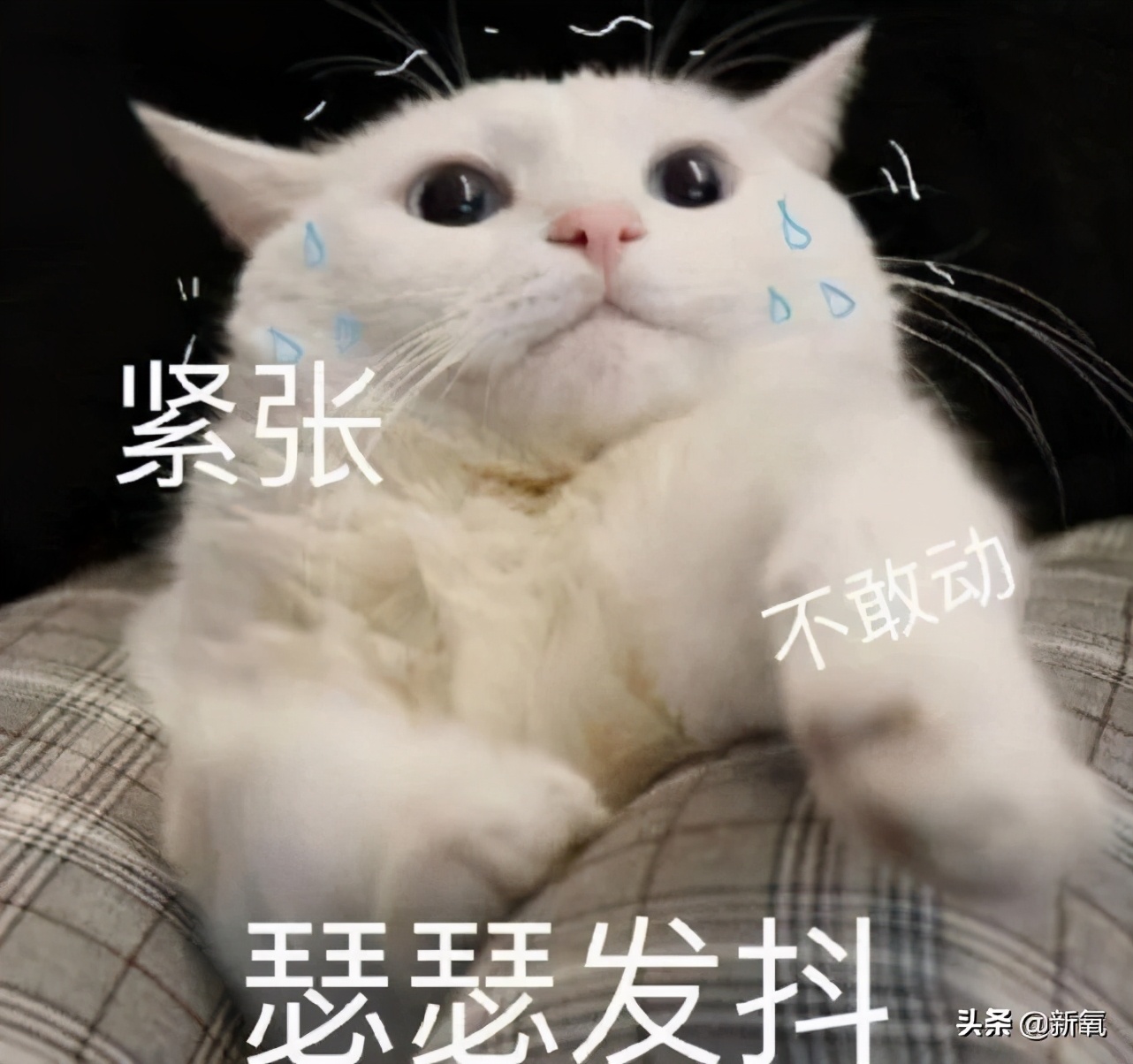 女明星们的好皮肤，当真是得益于戒糖吗？