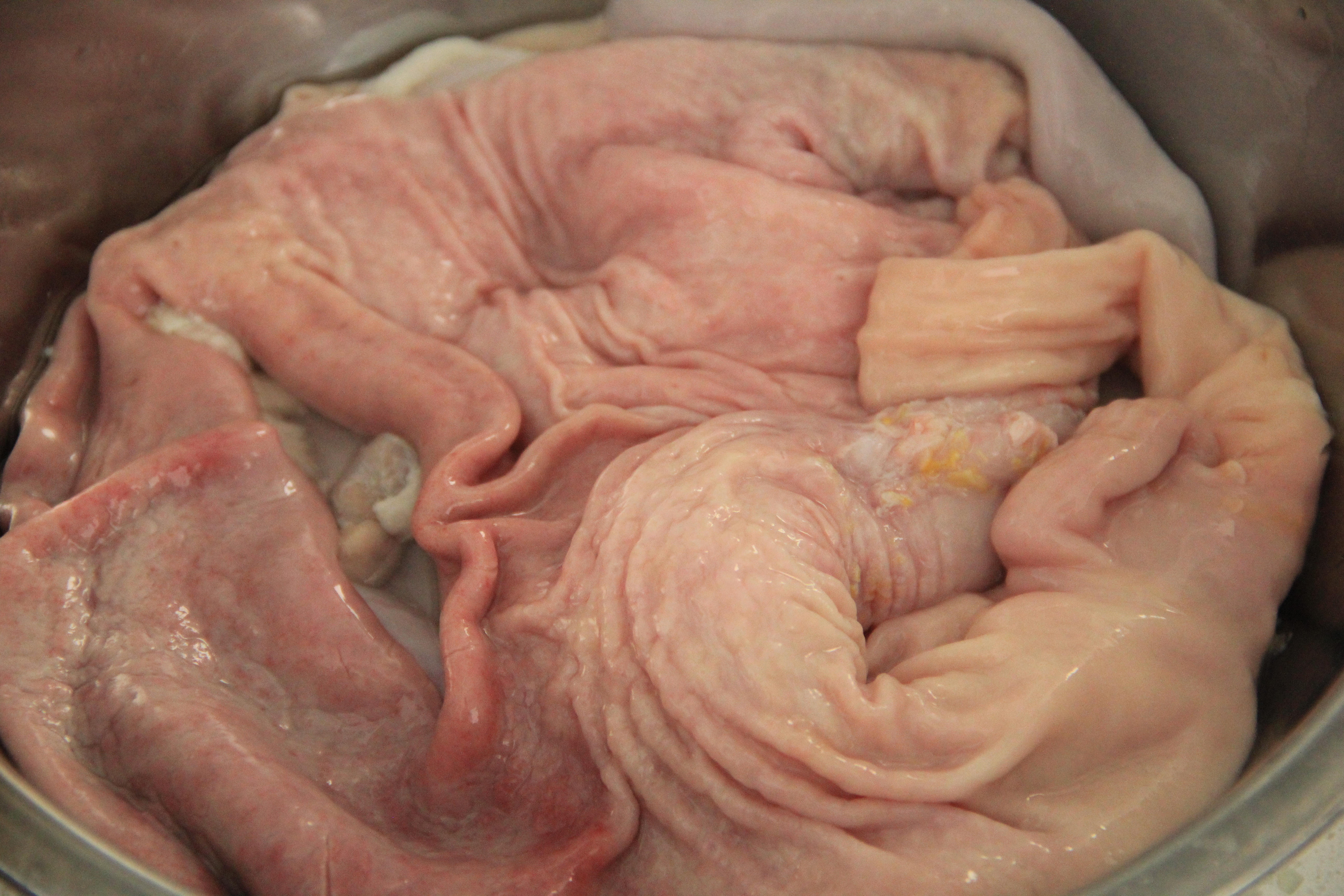 图片[5]-如何清洗猪肚做法步骤图 猪肚干净无异味学会受用一辈子-起舞食谱网