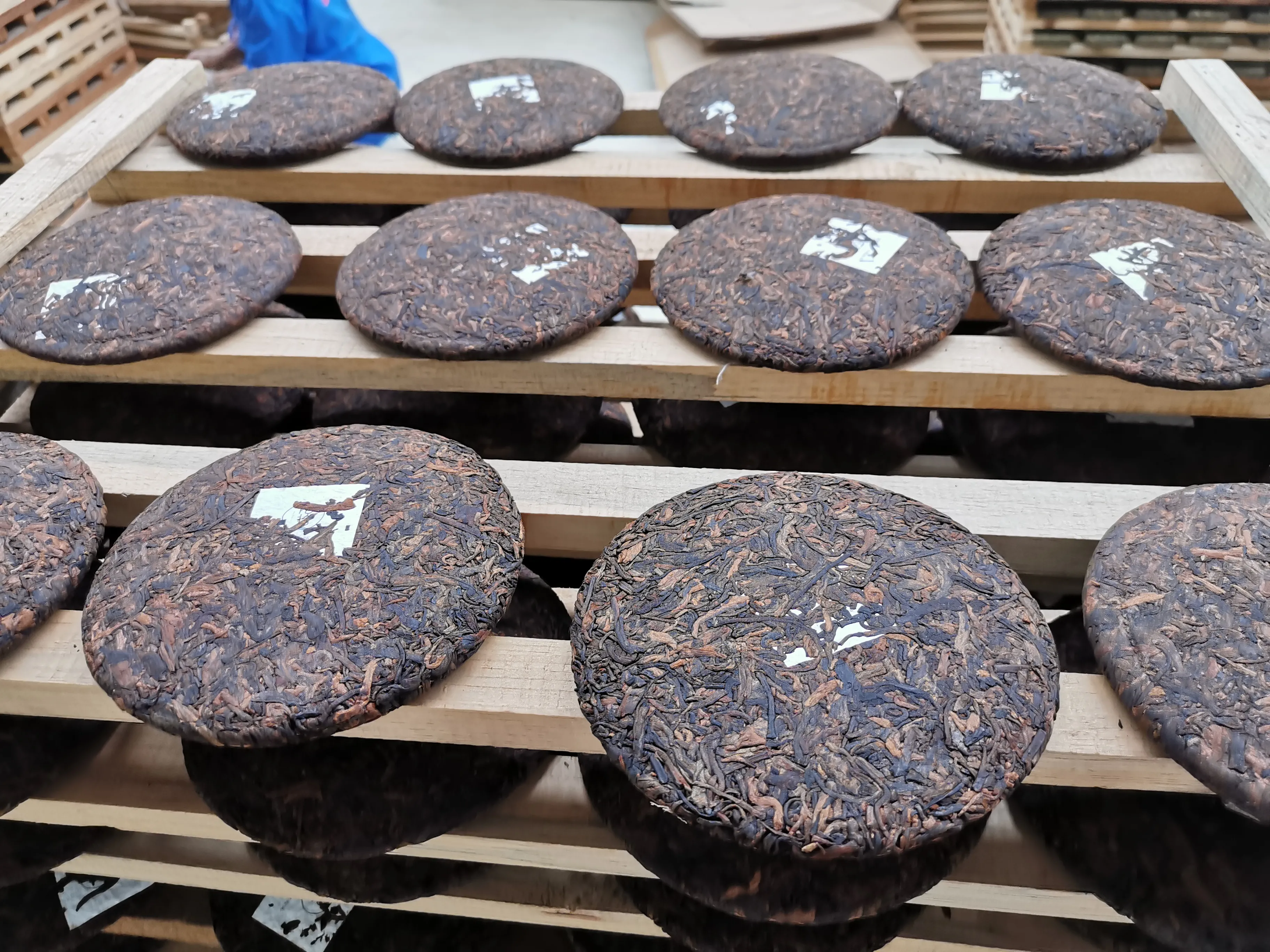 關于普洱熟茶的小知識