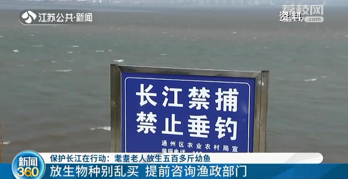 耄耋老人放500多斤幼鱼入江 守护长江30年