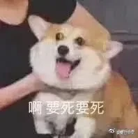 恶意剪辑流量收割太好用,这次轮到张天爱被坑了