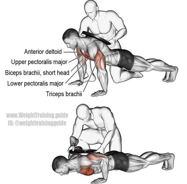 超干貨！胸、腰、臀腿、肩背肌肉訓練圖解，男女通用