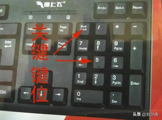 每天学一点 7天学会使用电脑办公操作