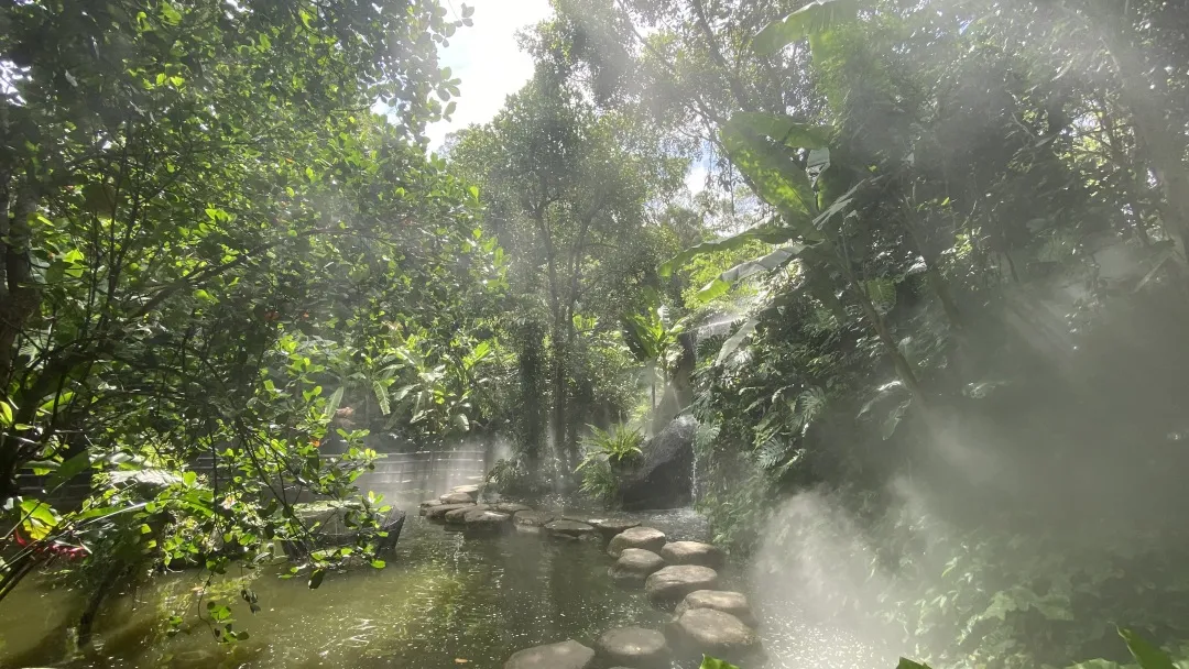 植物园雨林雾森时间调整,还将有这些变化
