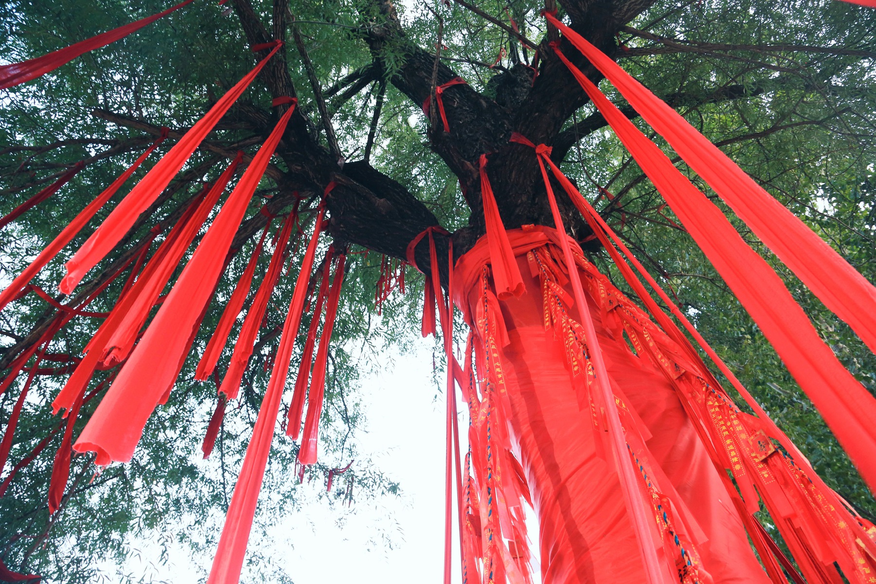 京郊密云小众亲子游，回归田园拥抱自然的超嗨假期