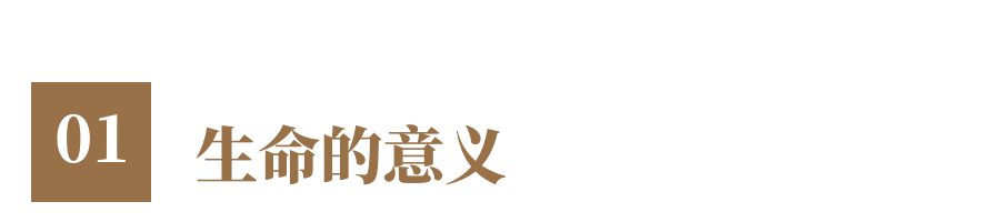 生命没有意义，但还是要好好过一生