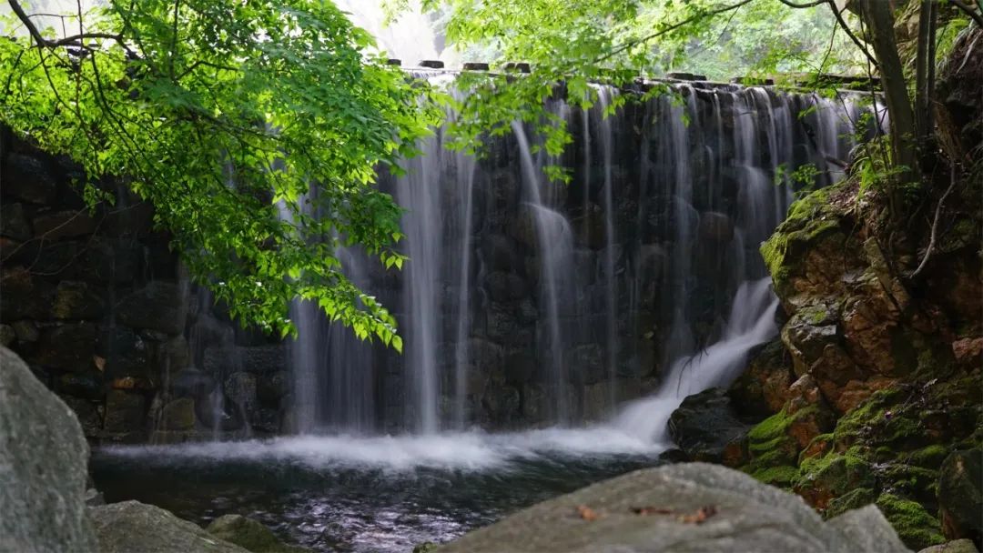 最美人間四月天，雞公山春色滿園等您來