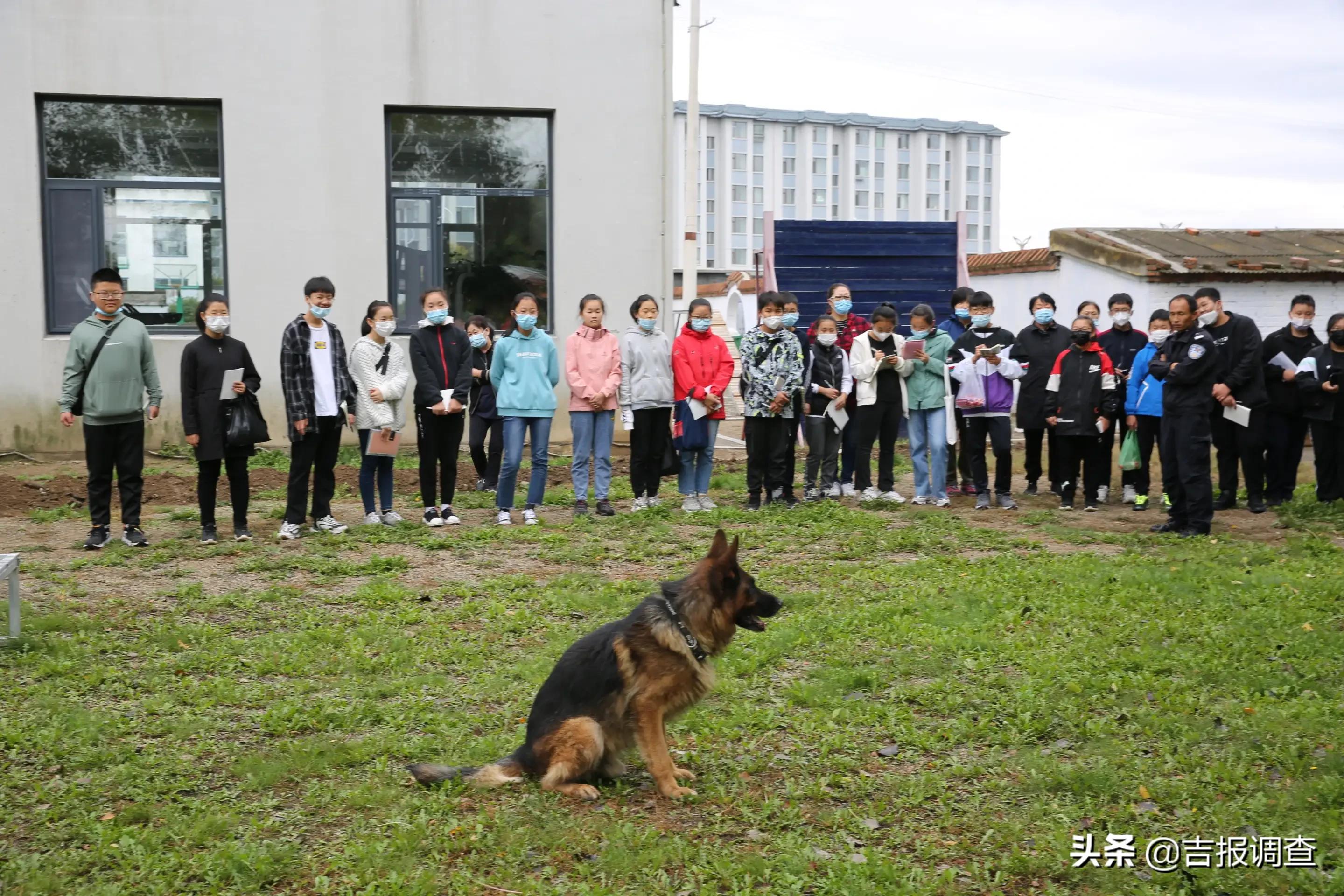 琿春市第五中學(xué)七年一班師生在馬川子(圖5)