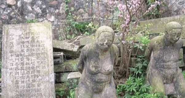 踏春去！从南京梅花山“观梅轩”到浙江绍兴汪家山考察随笔