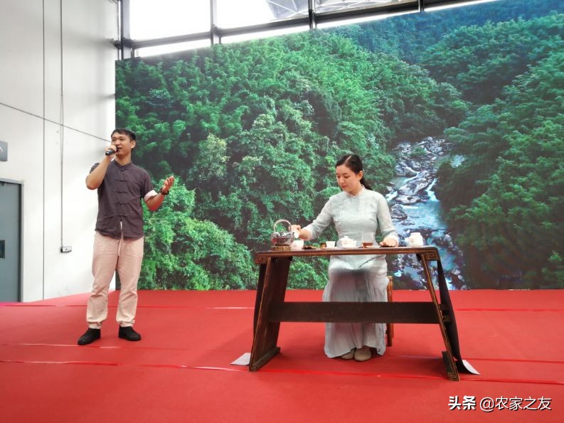35000元一斤六堡茶！桂茶杯&ldquo;拍&rdquo;出新亮点
