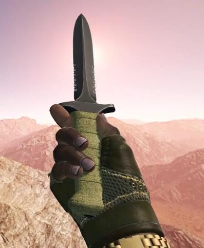 CSGO皮肤推荐——九头蛇手套 | 红树林
