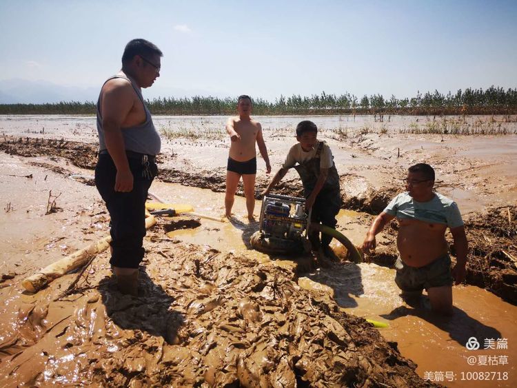 华阴公安郭彦伯：疾风骤雨显担当 防汛抢险保民安