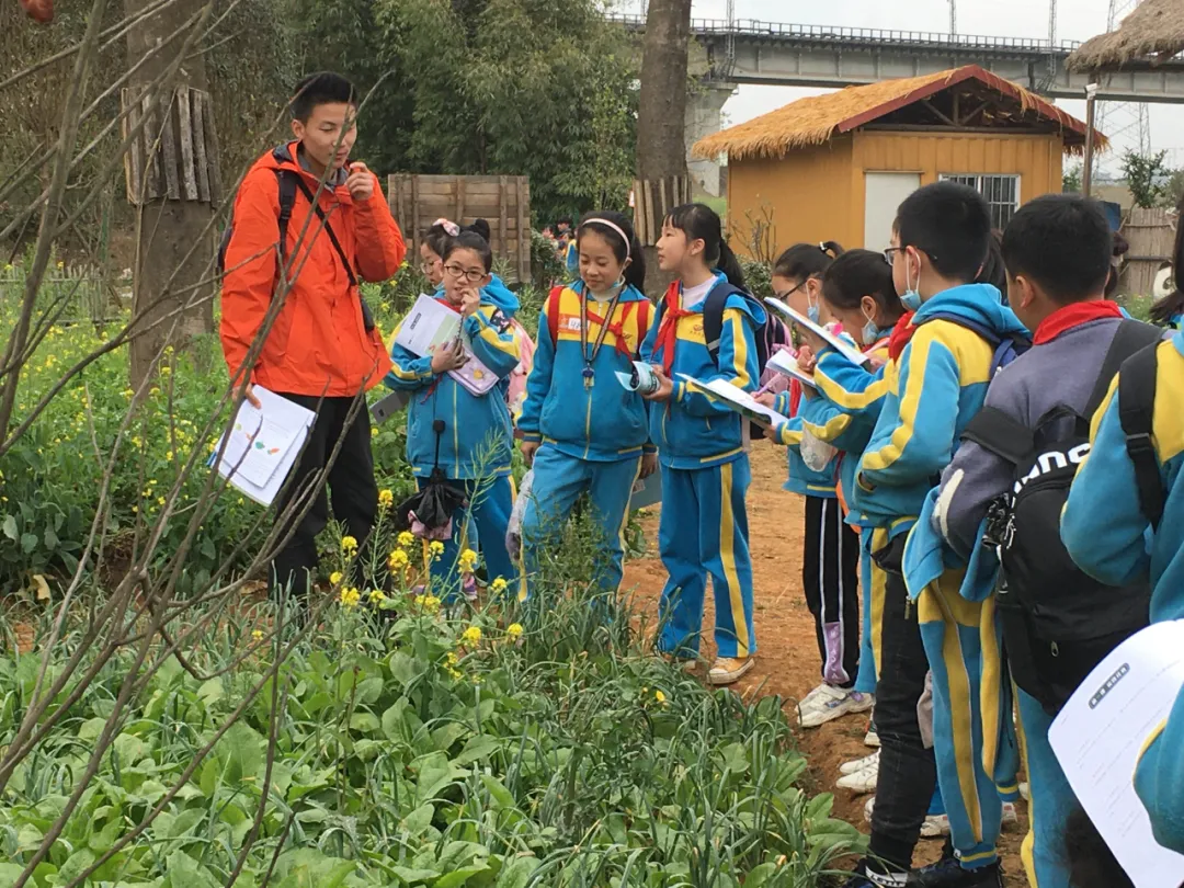 享农趣、觅农情,成都市龙泉驿区第五小学校“农耕”文化节来袭