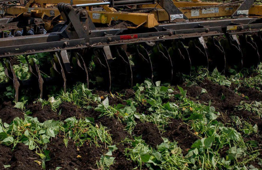 替代中國地位？ 遭受重創後，澳農業部長：尋求中方予以通話