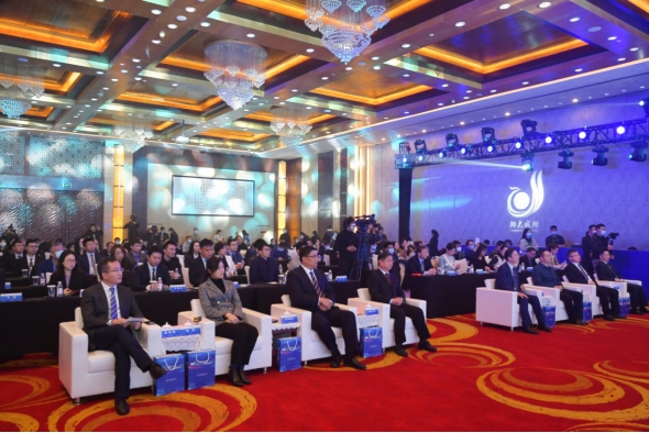山东省城阳区：2020“智汇城阳”高层次人才论坛成功举办