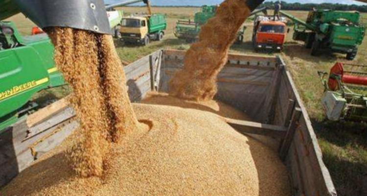 合同期限即将到来！中国掌握主动权，澳大利亚